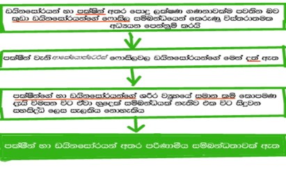 පක්ෂීන් ඩයිනසෝර් සම්බන්ධය