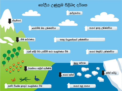 වැඩියෙන් වැස්සට  ගෝලීය උණුසුම වැඩිවීම නතර වෙන්නේ&nbsp;නැහැ