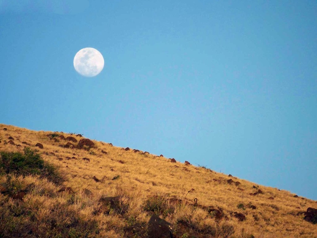 සමහර වෙලාවලට දවාලටත් හඳ දකින්න පුළුවනි: ඒ&nbsp;ඇයි?