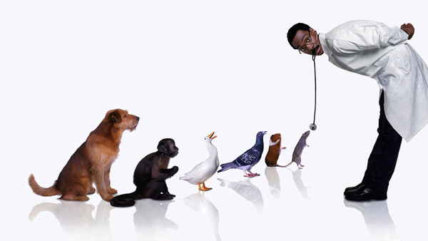 මිනිස් අපට වගේ කතා කරන්න සතුන්ට බැරි&nbsp;ඇයි?