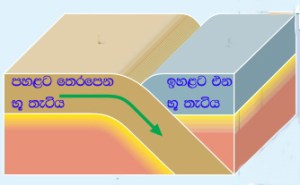 B චිත්‍ර‍ය