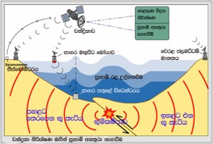 Ysunami warning system