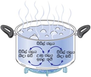 තාප සංවහනය