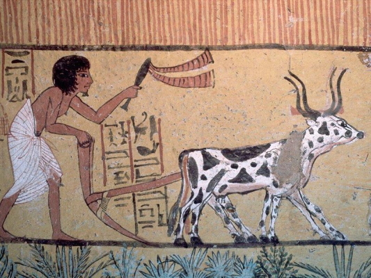 කාලයාගේ ඇවෑමෙන් මිනිස් අැටසැකිල්ල සැහැල්ලු&nbsp;වෙලා