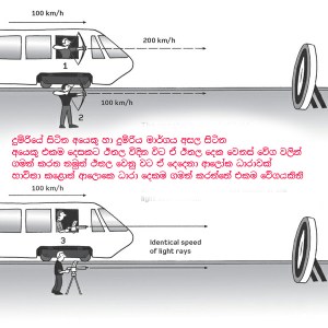 විශිෂ්ට සාපෙක්ෂතාවය