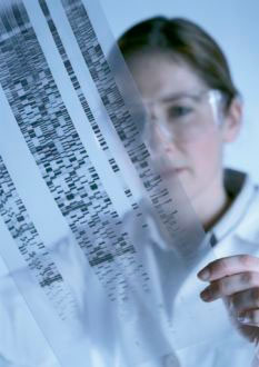 අධිකරණ සාක්‍ෂි ලෙස&nbsp;DNA