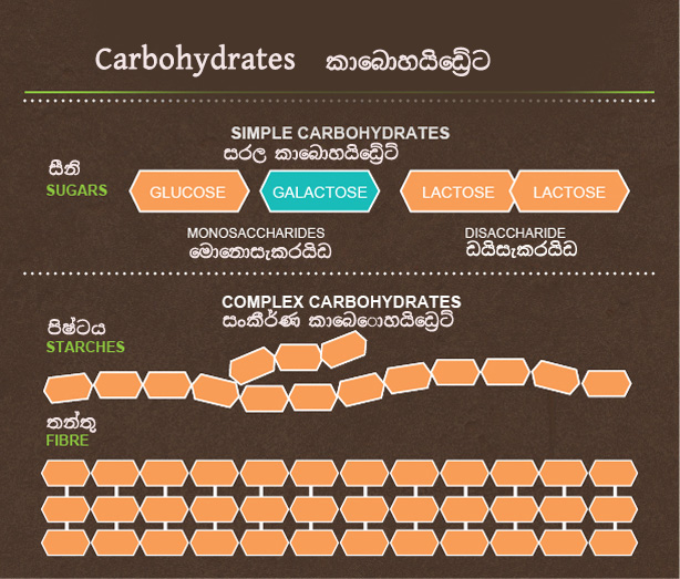 කාබෝහයිඩ්‍රේට් යනු මොනවාද?