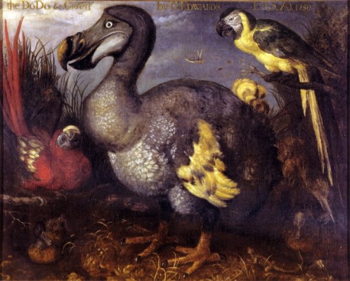 Endangered Species - Dodo