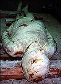 ඊජිප්තු සම්ප‍්‍රදාය යොදා ගනිමින් 1994 දි මමීගත කළ මුමාබ්(MUMAB- Mummy, University of Maryland At Baltimore) නම් නූතන මමිය  