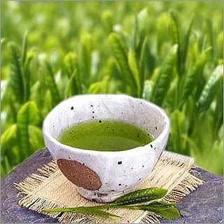 GreenTea