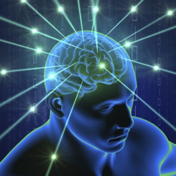 මොළය සහ ප්‍රතිශක්ති පද්ධතිය අතර වැදගත්&nbsp;පුරුකක්