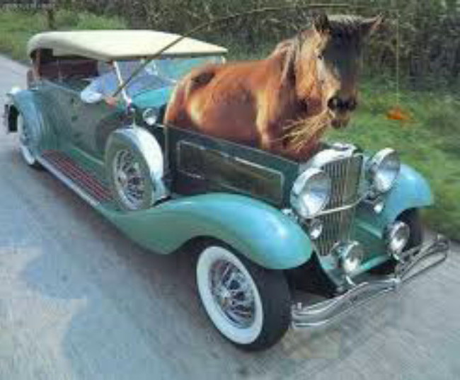 අශ්වයාගේ බලය සහ අශ්ව&nbsp;බලය