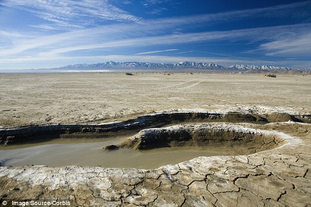 දිය කඩිත්තක ජීවයේ මූලාරම්භය&nbsp;සෙවීම