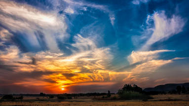 අනාවැකි කියන අලි