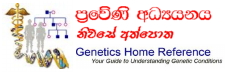 Genetics Header