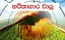 Image result for à·à¶»à·à¶­à·à¶à·à¶» à·à·à¶ºà·