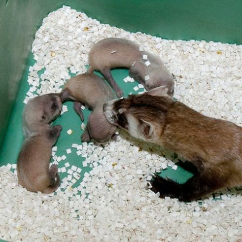 6a010535647bf3970b015435647fca970c-500wi