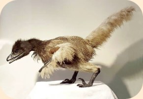 bambiraptor