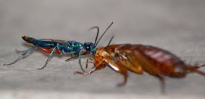 Untitled-Duplicated-03