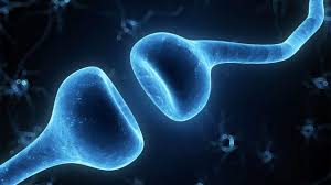 ශබ්ද වචන බවට පරිවර්තනය වන&nbsp;හැටි