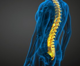 Flexible-Implantables-digital-health