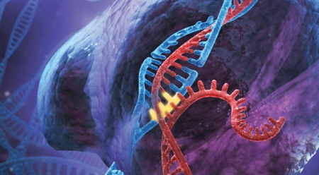 ජානයක් කියන්නේ කුමක්&nbsp;ද?