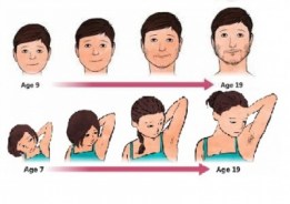 4431969558f035b8d45577380cda876966d7ff145