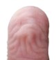 fingertip