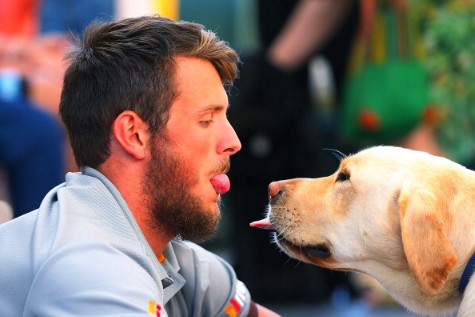 සුනඛයන් හීලෑ කෙරුනේ අවස්ථා දෙකකදී&nbsp;ද?