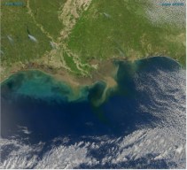 මැක්සිකෝ බොක්ක 