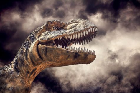 ඩයිනසෝරයෙකු ක්ලෝන කිරිමට මිනිස් අපට දැන් හැකියාව&nbsp;තිබේද?