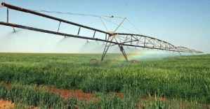 watering_agriculture