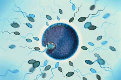 පිරිමින්ගේ වඳබව පිළිබද නිසි අවබෝධයට නව ශුක‍්‍රාණු පරීක්ෂණයක් මග පෑදිය&nbsp;හැකියි