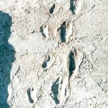 footprints_520