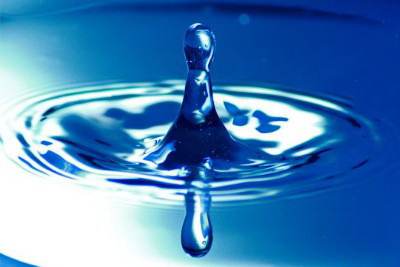 161201164529_1_540x360