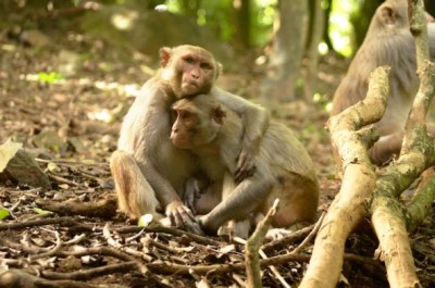 6c6a20e9-f17e-4c49-8f60f21cd11a78a9