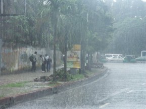 2384068905_405655f48f