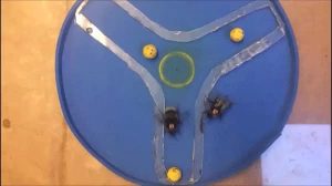 බඹර මැස්සෝ තම සගයන්ගෙන් පාපන්දු ක‍්‍රීඩාව උගෙන&nbsp;ගනිති