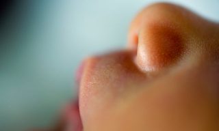 නාසයේ හැඩය තීරණය වන්නේ පුර්වකාලින&nbsp;දේශගුණයෙන්