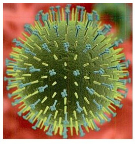 වෛරසයකට පණ තියනවා&nbsp;ද?