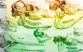 සංකල්ප සාර සංග්‍රහය 27: අරමුණ&nbsp;(Purpose)