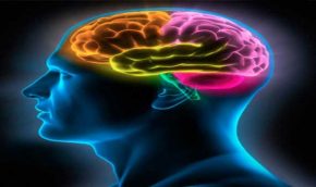 සංකල්ප සාර සංග්‍රහය 32: මනස&nbsp;(Mind)