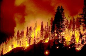 ලැව්ගිනි දුම දේශගුණය මත දිගුකාලීන බලපෑම් ඇති&nbsp;කරයි