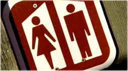 මුත‍්‍රා මේ තරම් ගඳ&nbsp;ඇයි?