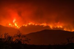 ලැව්ගිනි අවදානම ඵෙතිහාසික සංදර්භයක් තුළ සලකා&nbsp;බැලීම