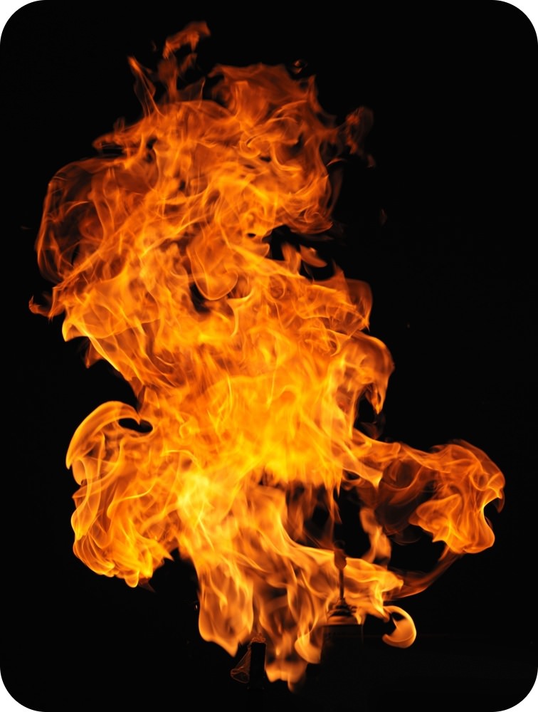 ජීවයේ ගුණාංග – තතු