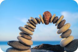 සමස්ථිතිය – ස්ථායී සමතුලිතතාවක් පවත්වාගෙන&nbsp;යාම