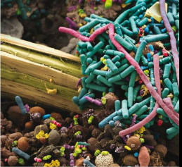 ජීවිතයේ අඥාත ද්‍රව්‍ය(Dark&nbsp;Matter)