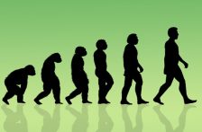 ජීවන පරිසරය: ජීවයේ පරිණාමය(Evolution Of Life&nbsp;)