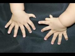 අපේ අත් පා වල ඇඟිලි පහ බැගින් ඇත්තේ&nbsp;ඇයි?